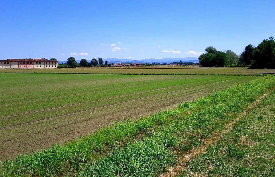 Travacò Siccomario, un posto di lavoro riservato a categorie protette al Comune