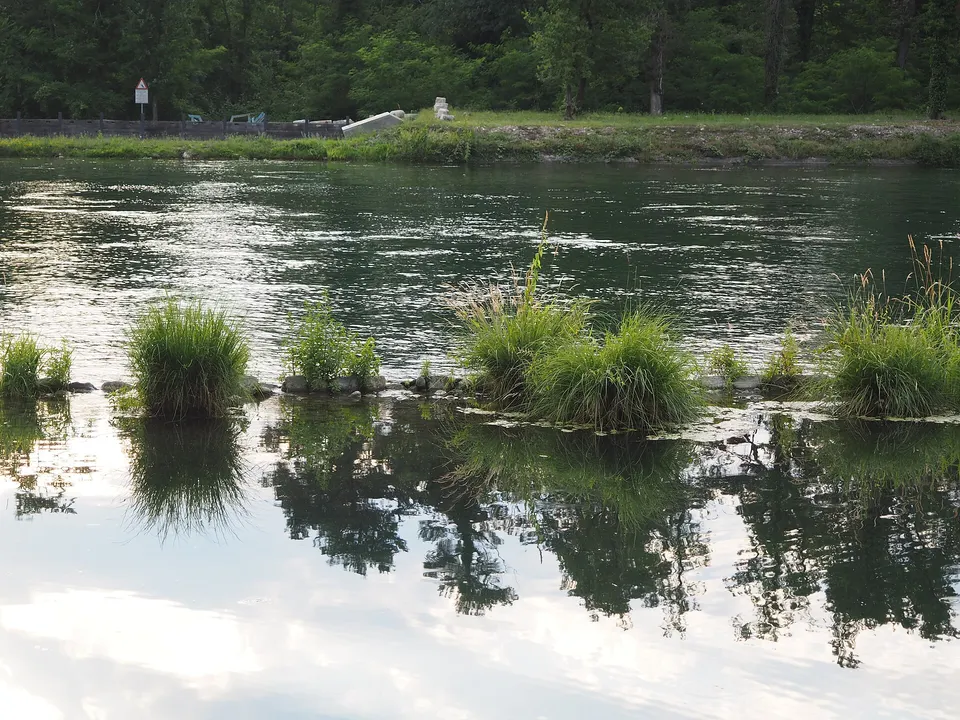 Spiagge del Ticino, il piano straordinario del Parco dimezza i rifiuti abbandonati