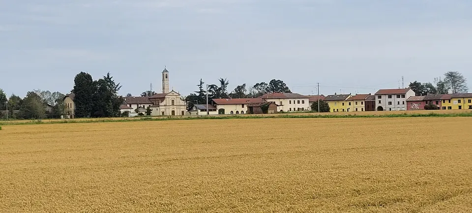 Raccolta del riso in Lomellina: come funziona e le sagre d'autunno