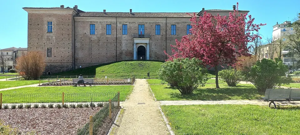Voghera, domenica 11 ottobre la 48esima mostra dei funghi al Castello Visconteo