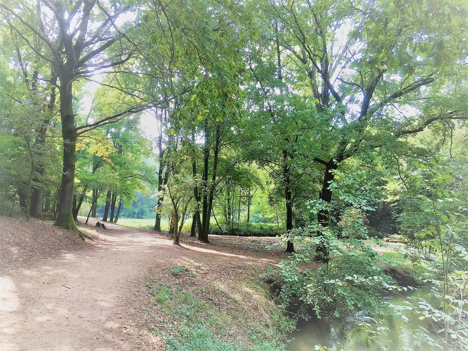 parco della vernavola