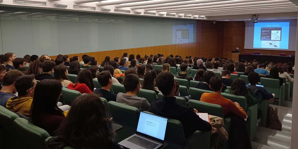 Pavia, la pugile olimpica Rebecca Nicoli al Collegio Nuovo il 4 novembre